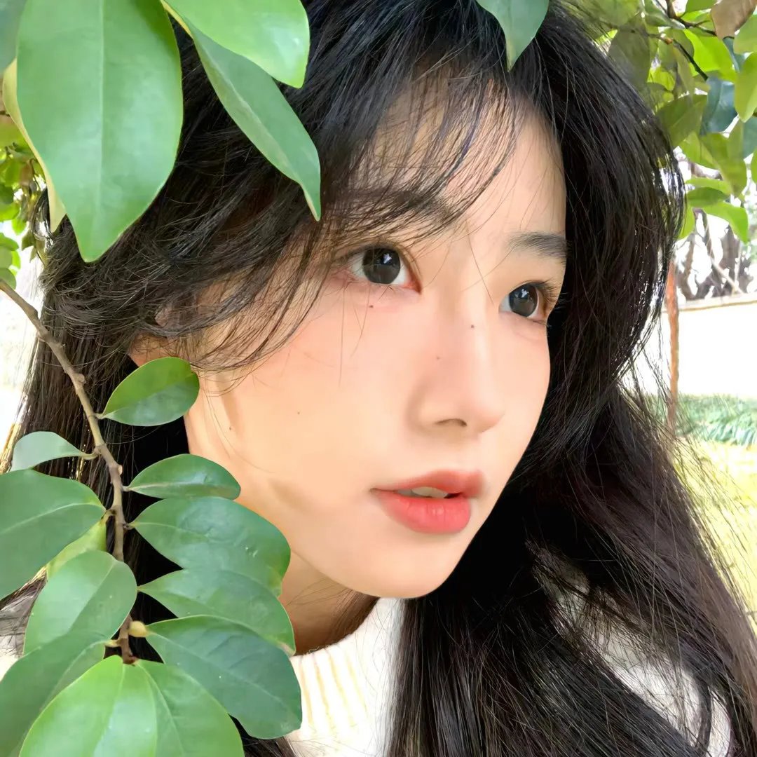 紫日